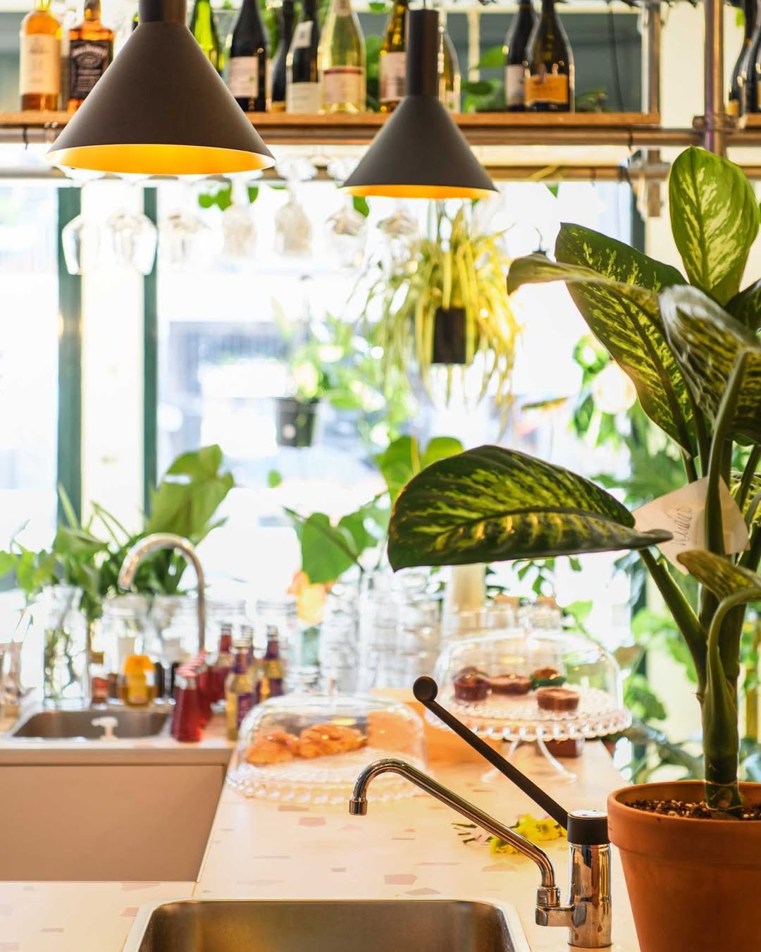 Atmosfera Flora et Labora