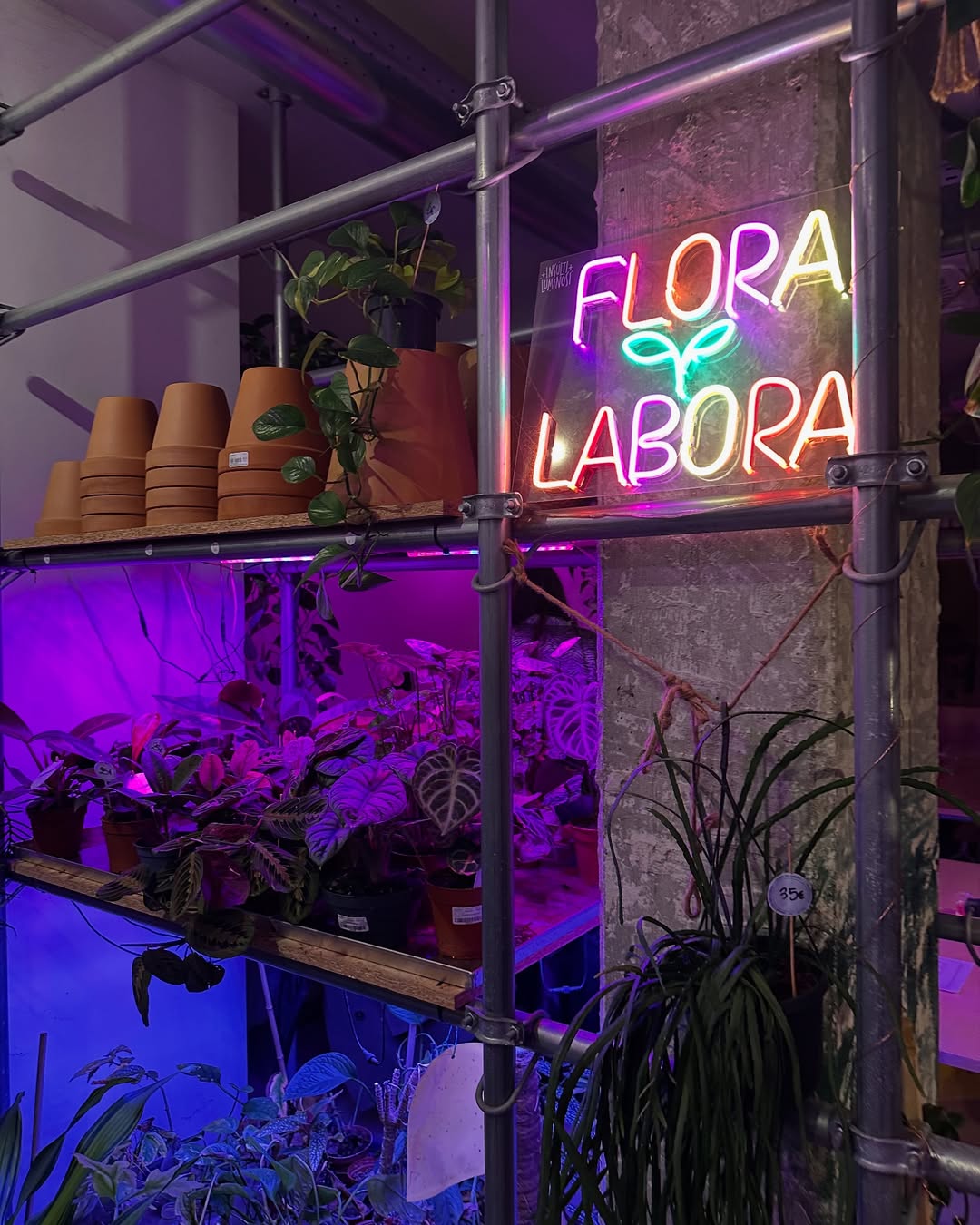 Workshop decorazione ceramica con Matilde Flora et Labora Milano